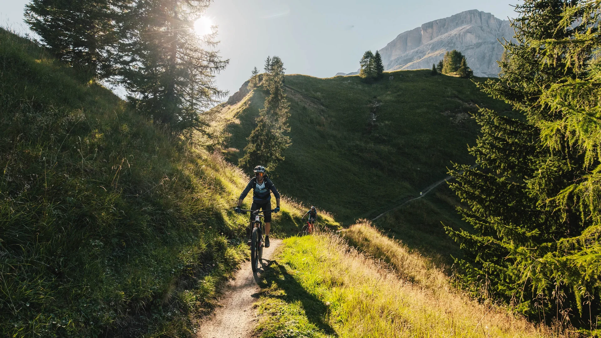 Bilder aus Arabba des Chalet Barbara Radfahrer auf sonnigem Bergweg mit Bäumen und grünen Hügeln