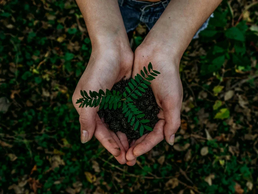 The story of our chalet in Arabba Hands holding a small plant with soil in a natural outdoor setting
